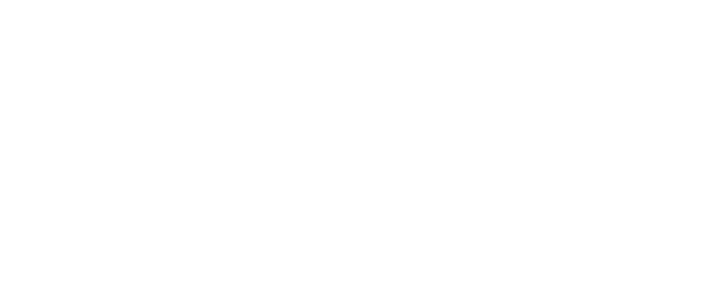 veroniquepotiron.com